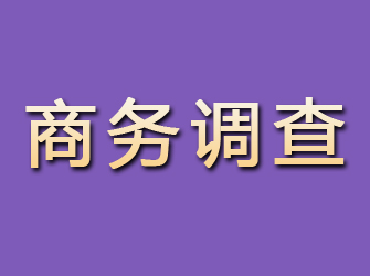 改则商务调查